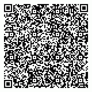 vCard 79299013545