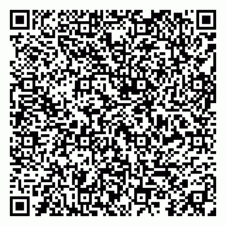 vCard 79299013603