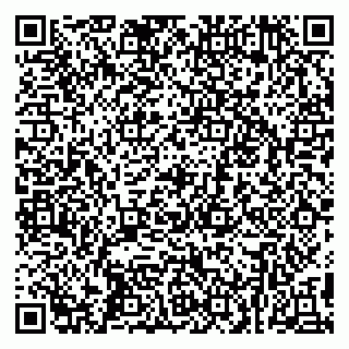 vCard 79299014271