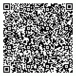 vCard 79299017331