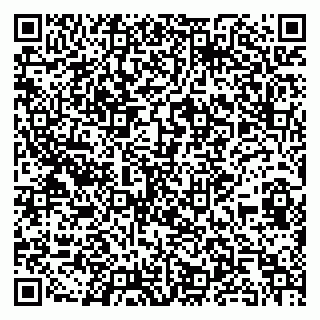 vCard 79299017387