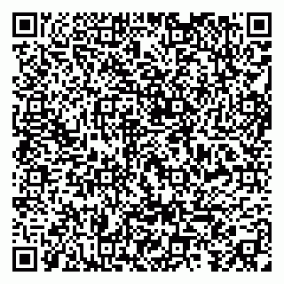 vCard 79299017676