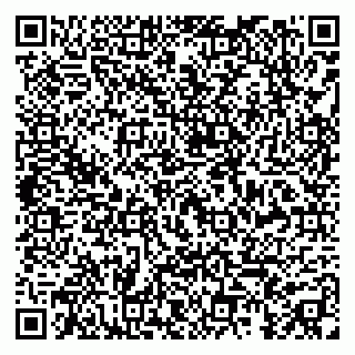 vCard 79299018740