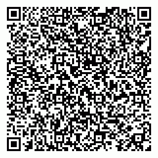 vCard 79299019335