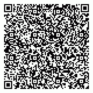 vCard 79299019337