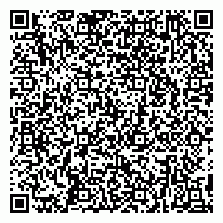 vCard 79299021312