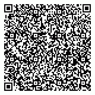 vCard 79299021371