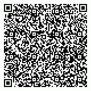 vCard 79299021376