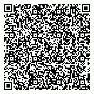 vCard 79299021382