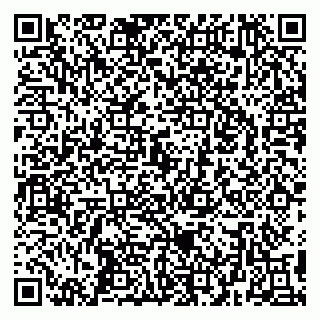 vCard 79299021387