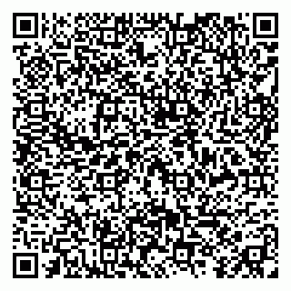 vCard 79299021633