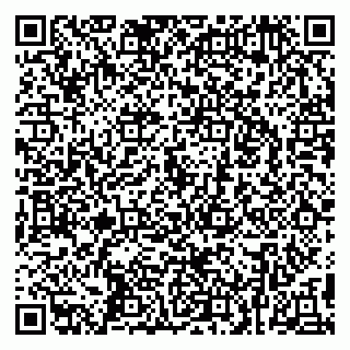 vCard 79299021729