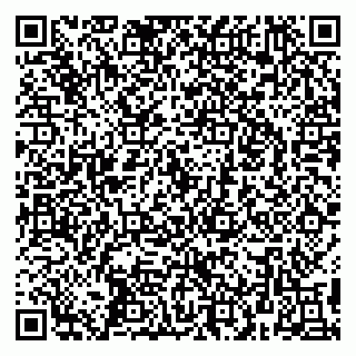 vCard 79299021987