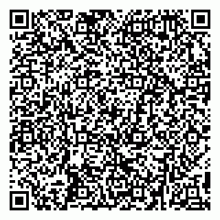 vCard 79299382038