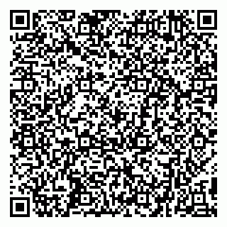 vCard 79299382041
