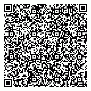 vCard 79299382049