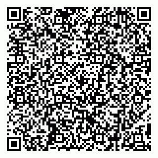 vCard 79299382069