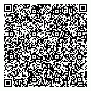 vCard 79299382070