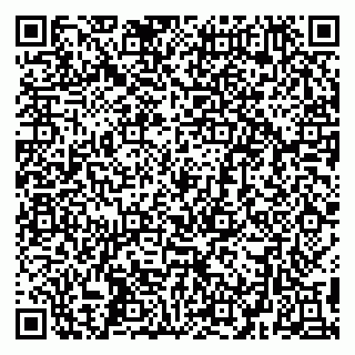 vCard 79299382084
