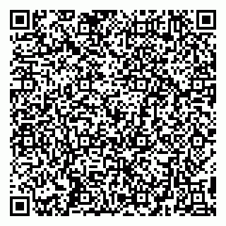 vCard 79299382087