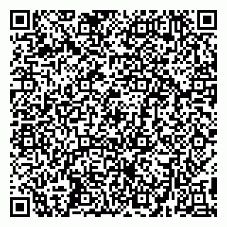 vCard 79299382095