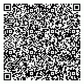 vCard 79299382099