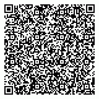 vCard 79299382100
