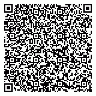 vCard 79299382103