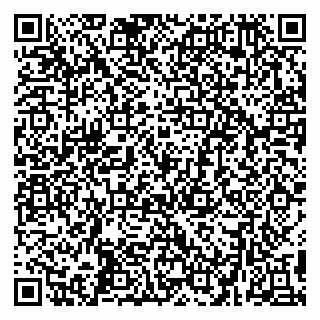 vCard 79299382110