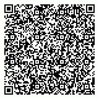 vCard 79299382199