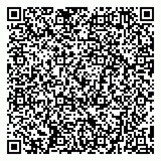 vCard 79299382200