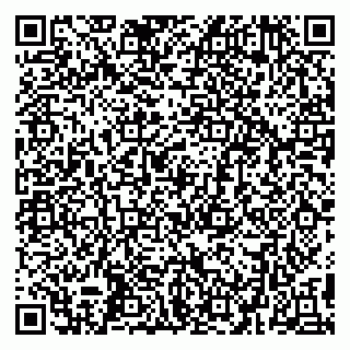 vCard 79299382201
