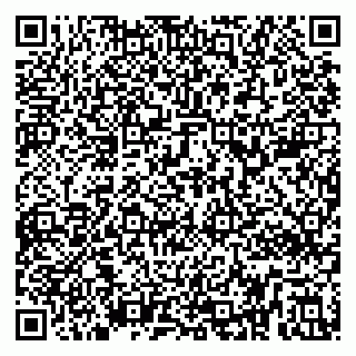 vCard 79299382208