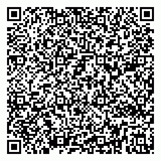vCard 79299382209