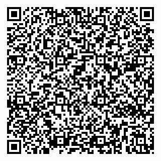 vCard 79299382235