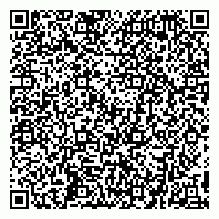 vCard 79299382248