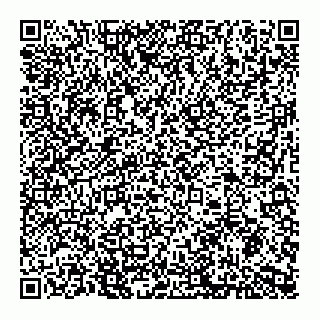 vCard 79299382313