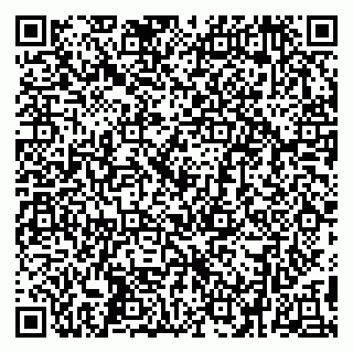 vCard 79299382329