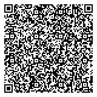 vCard 79299382333