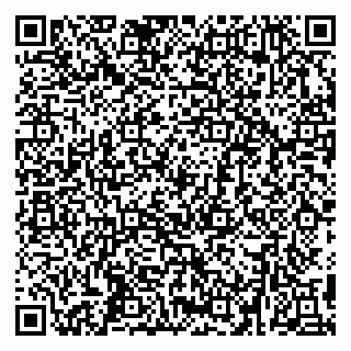 vCard 79299382334