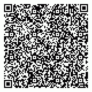 vCard 79299382343