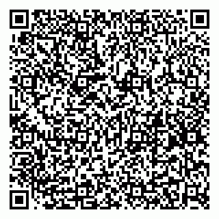 vCard 79299382353