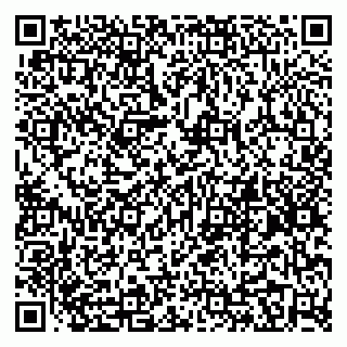 vCard 79299382390