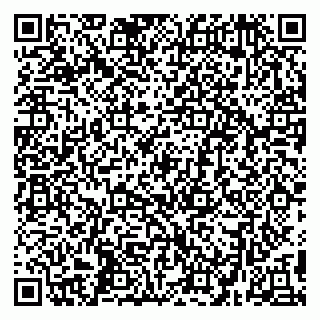 vCard 79299382399
