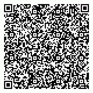 vCard 79299382402