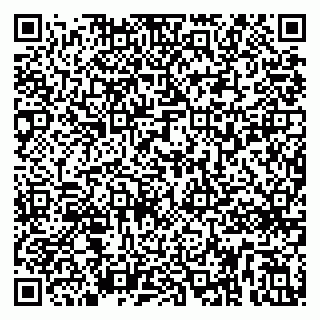 vCard 79299731654