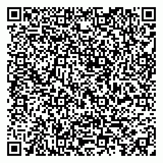 vCard 79299731675