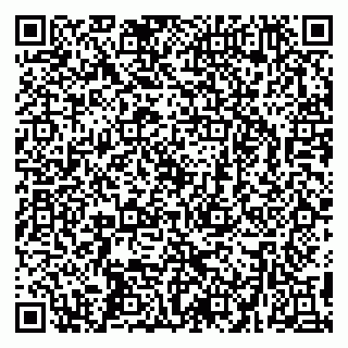 vCard 79299731714