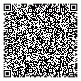 vCard 79299731723