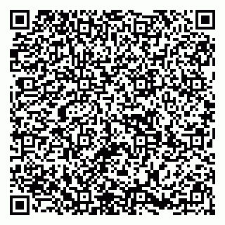 vCard 79299731729